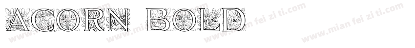 Acorn Bold字体转换
